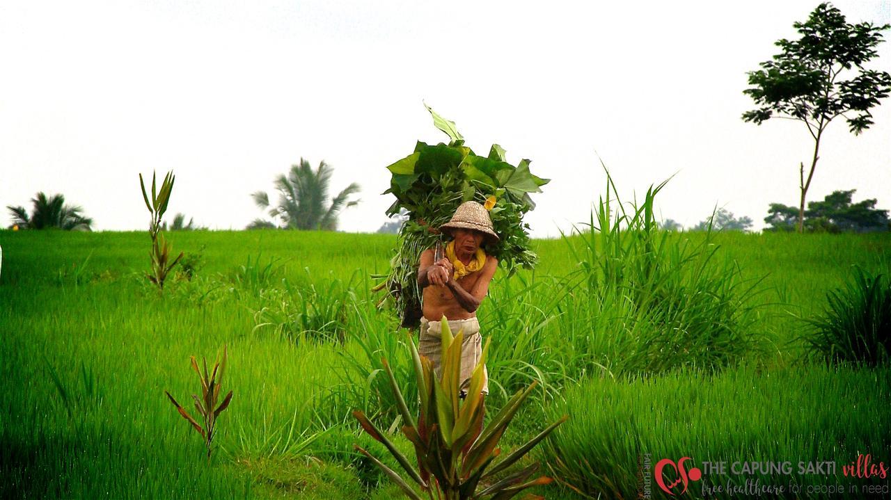 Capung Sakti Villas Ubud Eksteriør bilde