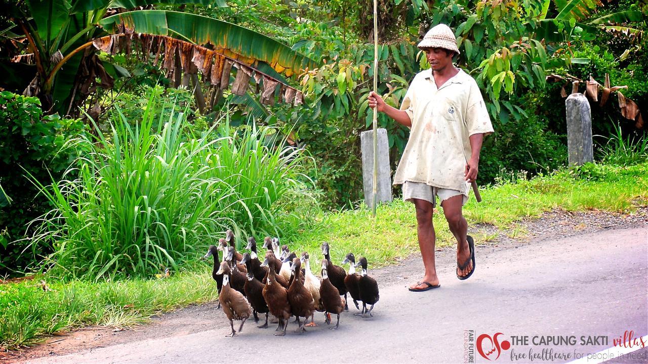 Capung Sakti Villas Ubud Eksteriør bilde